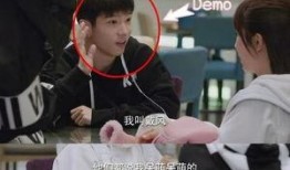 肖战杨紫爆料视频最新,幕后真相揭秘