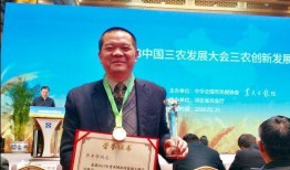 辽宁老总爆料新闻,揭秘企业内幕与行业真相